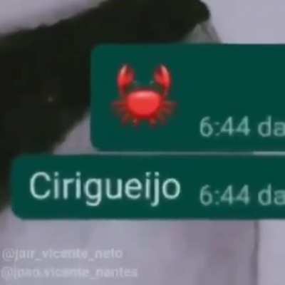 Ri&ccedil;oneronte