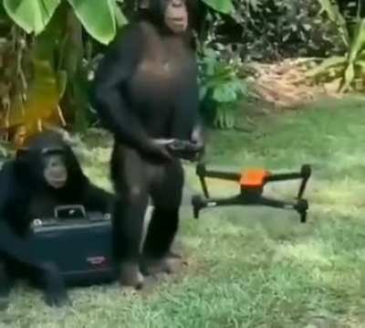 monkeler olmak insandan akıllı, siz olmak akılsız cahil c&uuml;hela🦍🐵