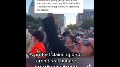 Thousands of people attend a &lsquo;Birds Aren&rsquo;t Real&rsquo; Protest in NYC