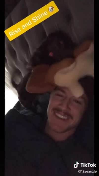 Wakey Wakey 🐶