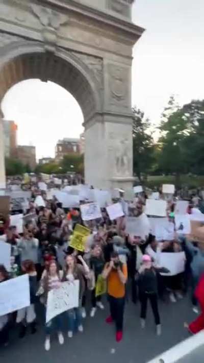 2,000 at the NYC Birds Aren&rsquo;t Real rally. History.