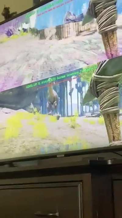 Survival Evolved