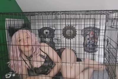 Happy pet loves to be used
