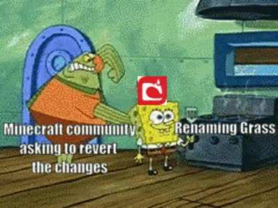 Silly Mojang