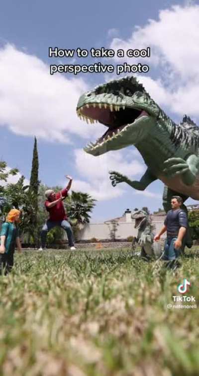 Dinosaur Photo
