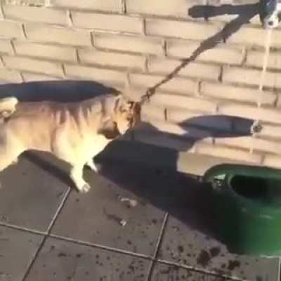 Cool Virtual Water