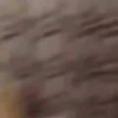 Ğ