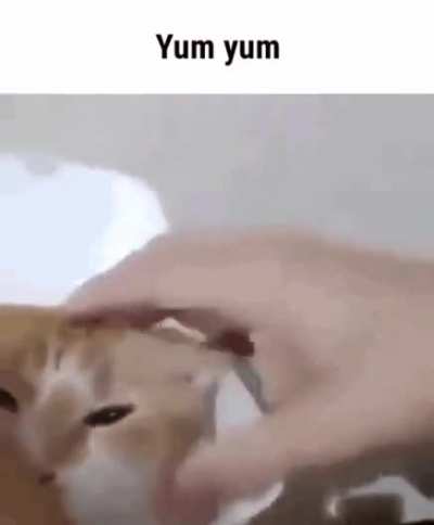 yummy