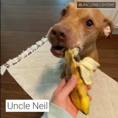 It&rsquo;s banana day at Uncle Neil&rsquo;s Home