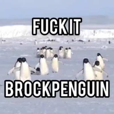 Wit my 'Guins