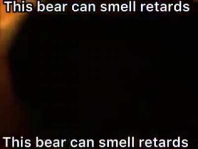 It can&rsquo;t smell me because I smell of farts, piss and shit! 🤣🤣😎🗿🗿