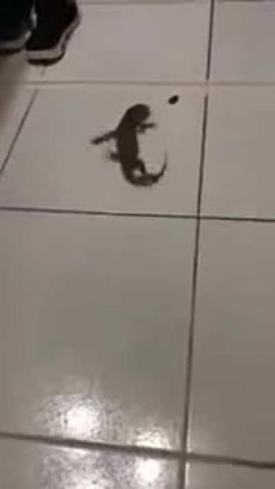 Maybe Maybe Maybe