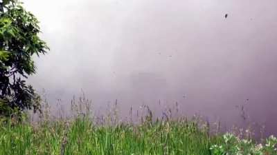 Rocket artillery of the 81st brigade of the DShV (Ukraine Armed Forces) fires at targets in the Donetsk region.
