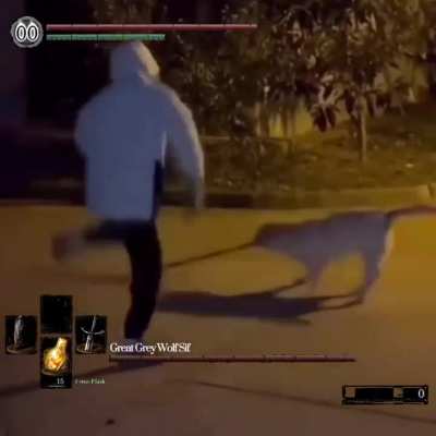 Dark souls fight