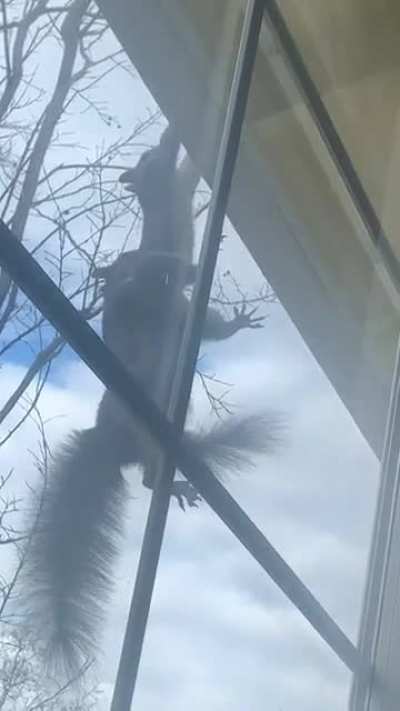 My sister looked out her window and saw this&hellip;