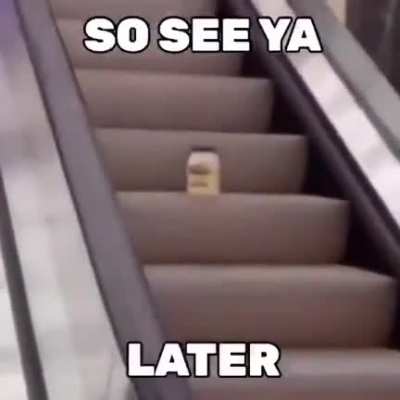 mayo