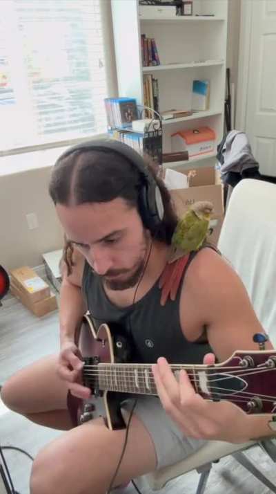 New song I&rsquo;m working on. Working title: Death Meta Groover