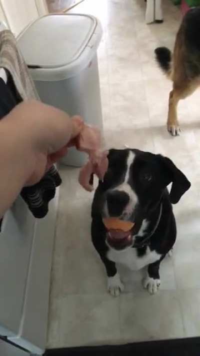 Can&rsquo;t have your cake and eat it too