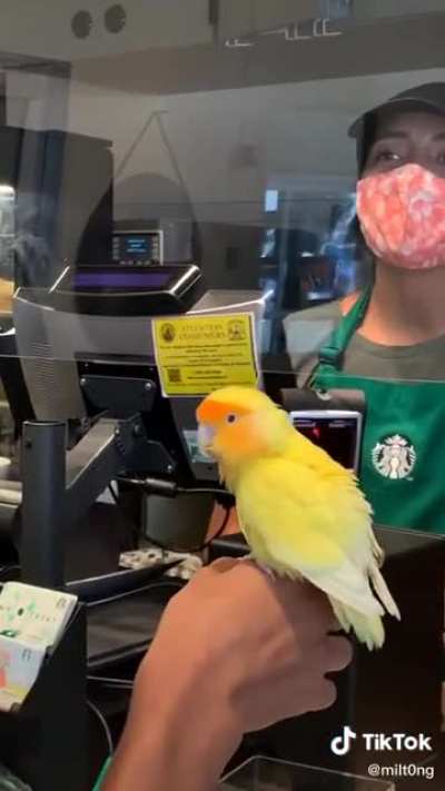 First date kinda nervous