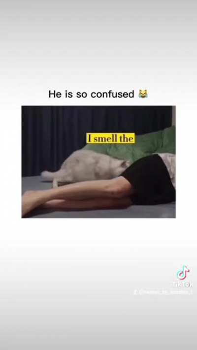 This video is unavailable. Visit TikTok to discover more trending videos.