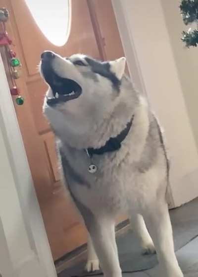 Let me sing to you the song of my people