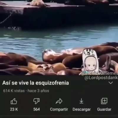 Como que la mina que esta al lado mio no existe