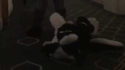 Thats gotta hurt