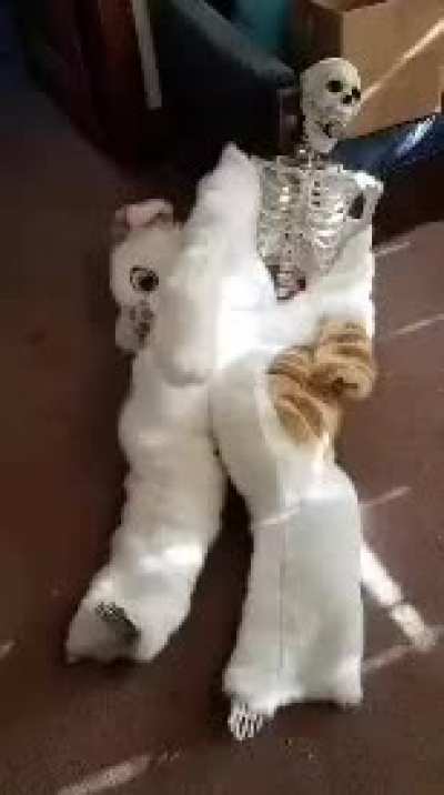 furry💀irl