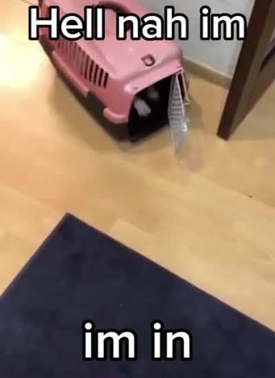 I&rsquo;m in