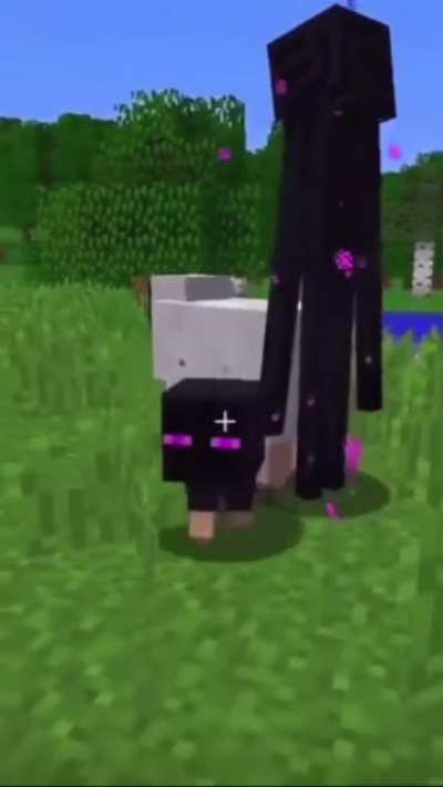 😳😳