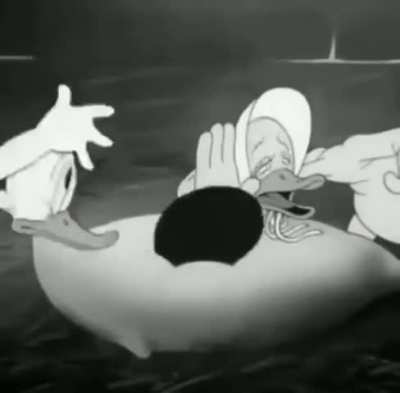 The Birth of a Duck