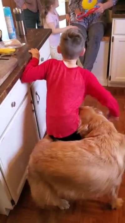 Good boy finally caught it.