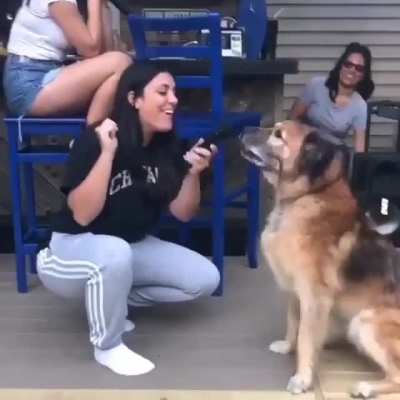 woof_irl