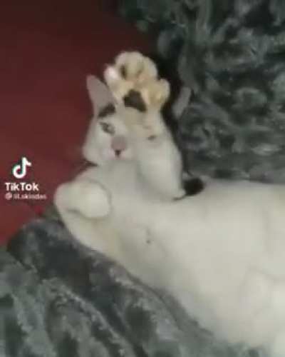 ...