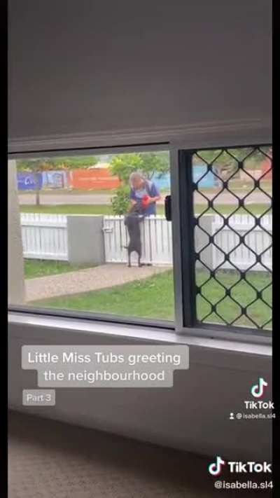 Little Miss Tubs greeting the neighborhood