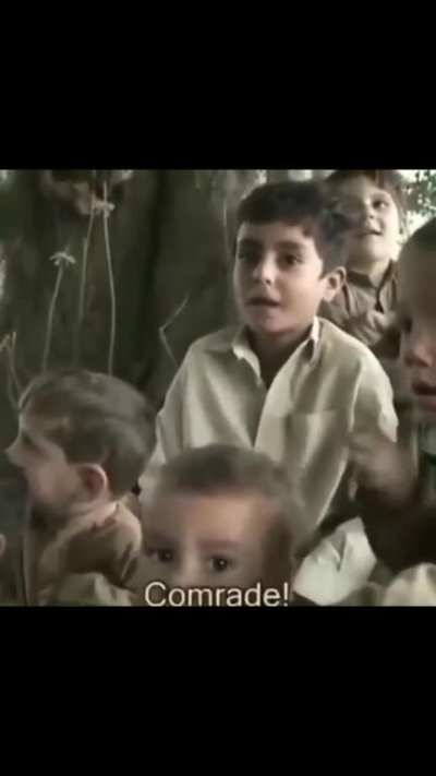 BASED MOOSA
