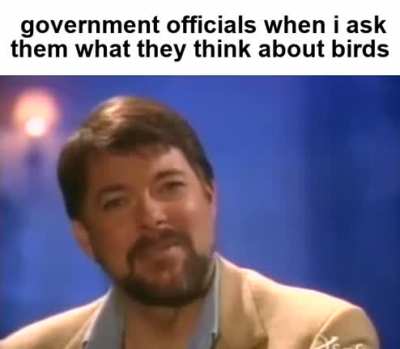 in plain sight