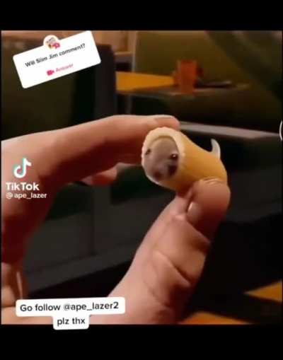 nom