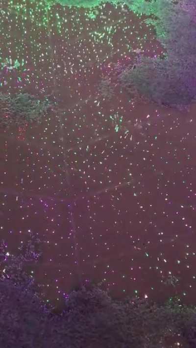 Rain aesthetic