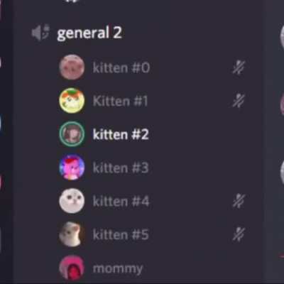 Hi mommy, meowww!