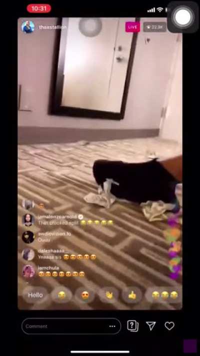 Meganthestallion 🍑💦