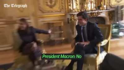 Emmanuel Macron&rsquo;s dog pees in the fireplace during a meeting