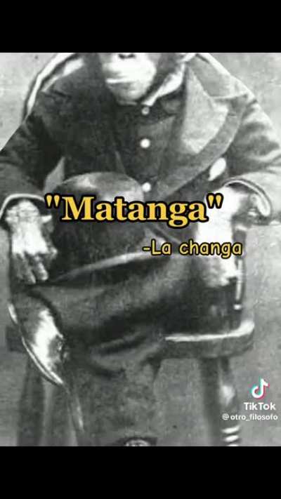 &ldquo;Compermisito&rdquo; -monchito