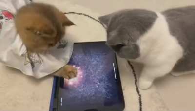 Gamers
