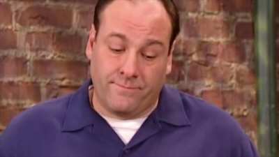 Perfectly Cut Gandolfini.
