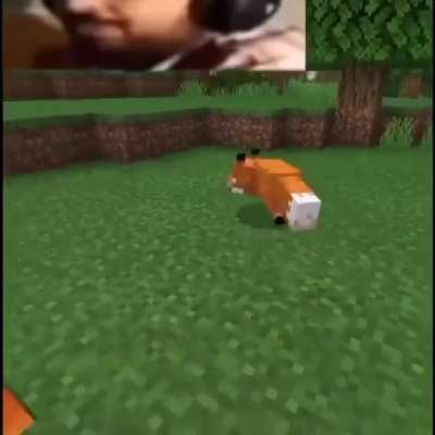 XD