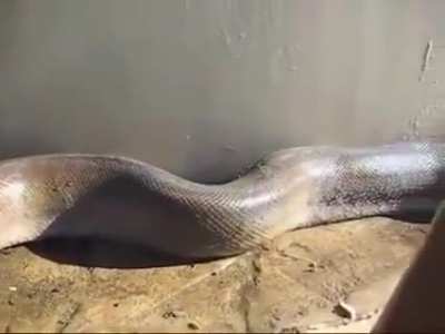 Love the fact that it waited till the end to attack him for dramatic effect