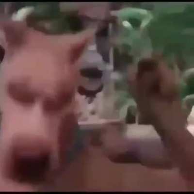 fds