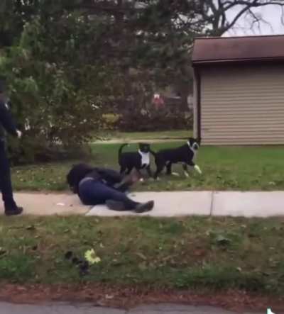 Do you think what the officer did was right?