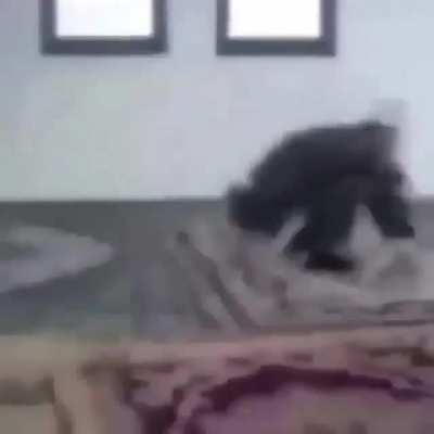 olm sadlşslşdşssds